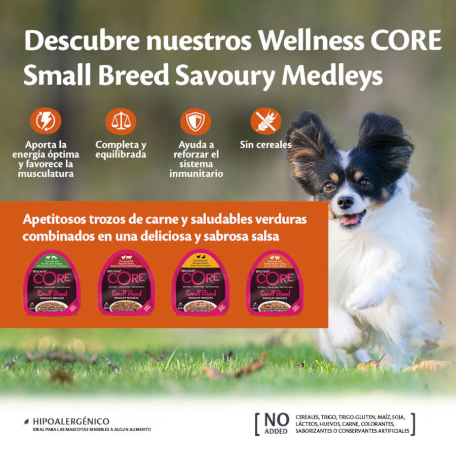 Wellness Core Small Breed Grain Free Frango e Terneira terrina para cães, , large image number null